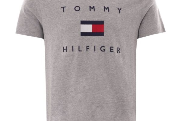 Tommy hilfiger men's dress shirt